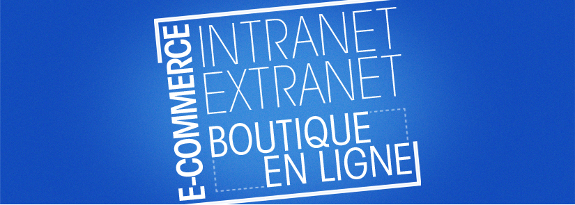 E-commerce - Intranet - Extranet